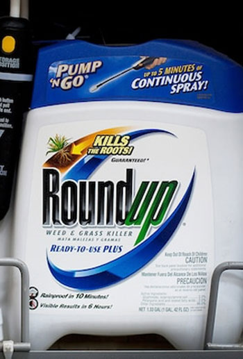 RoundUp Lawsuit: Everything You Need To Know