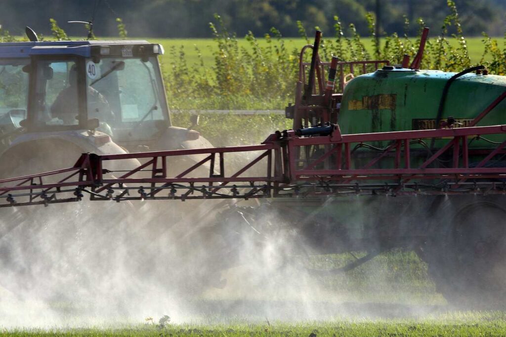 How Much Can You Get from Roundup Lawsuits?